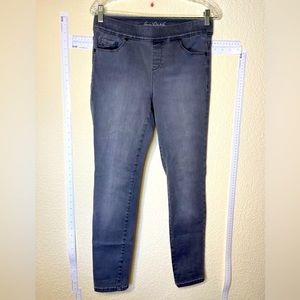 Gloria Vanderbilt Ladies Gray Avery straight leg Pull-on Pant Size 8